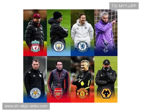 中国登陆英超的球员名单及其竞技表现评述