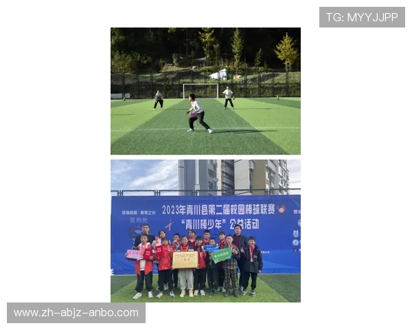 通过棒球培养的领导力:运动员的管理思维 通过棒球培养的领导力:运动员的管理思维