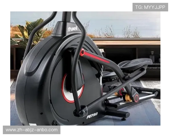 韩国热销健身器材品牌盘点设计与实用兼备 韩国热销健身器材品牌盘点设计与实用兼备